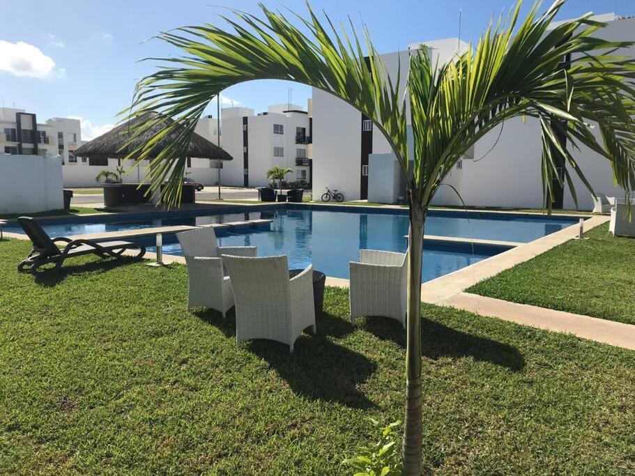 Apartamento Depa De Playa C/alberca Cerca De La 5a Avenida
