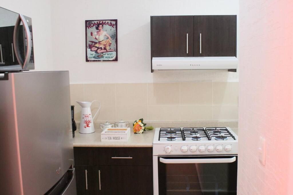 Apartamento Depa De Playa C/alberca Cerca De La 5a Avenida
